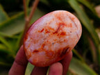 Polished Carnelian Agate Gemstone Galets x 20 From Madagascar - Toprock Gemstones and Minerals 