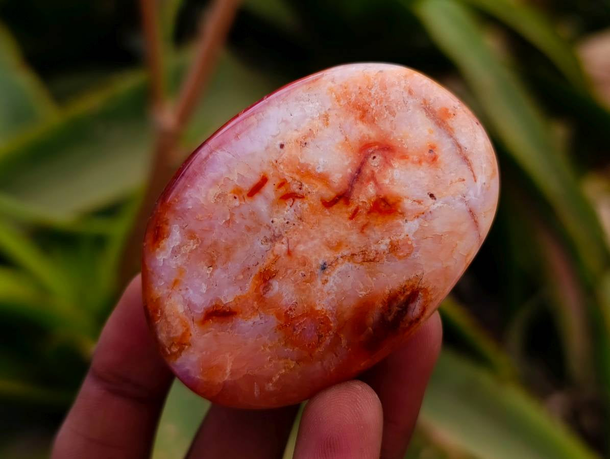 Polished Carnelian Agate Gemstone Galets x 20 From Madagascar - Toprock Gemstones and Minerals 