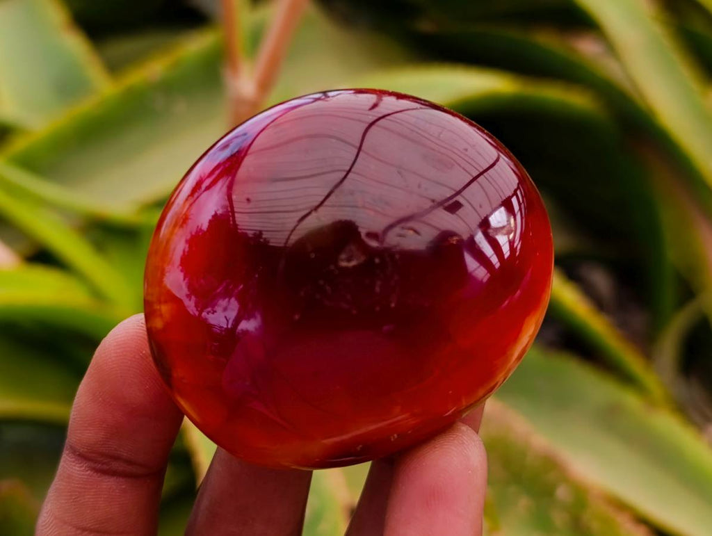 Polished Carnelian Agate Gemstone Galets x 20 From Madagascar - Toprock Gemstones and Minerals 