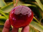 Polished Carnelian Agate Gemstone Galets x 20 From Madagascar - Toprock Gemstones and Minerals 
