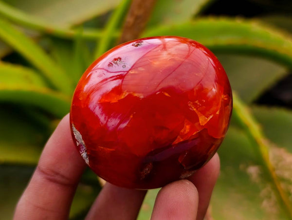 Polished Carnelian Agate Gemstone Galets x 20 From Madagascar