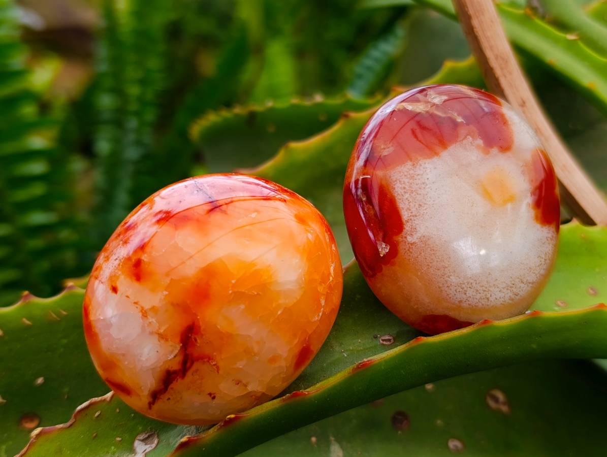 Polished Carnelian Agate Gemstone Galets x 20 From Madagascar - Toprock Gemstones and Minerals 