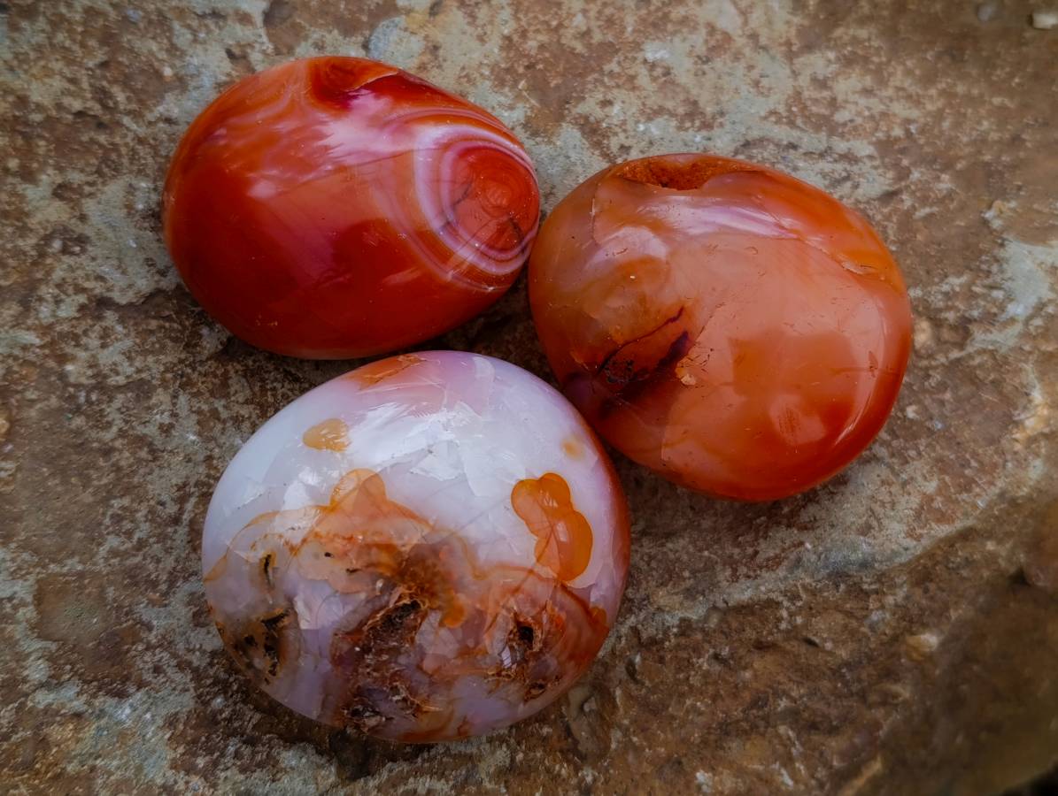 Polished Carnelian Agate Gemstone Galets x 20 From Madagascar - Toprock Gemstones and Minerals 
