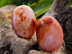 Polished Carnelian Agate Gemstone Galets x 20 From Madagascar - Toprock Gemstones and Minerals 