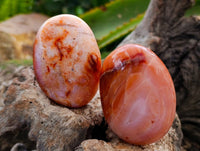 Polished Carnelian Agate Gemstone Galets x 20 From Madagascar