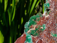Natural Silky Ball Malachite and Drusy Quartz On Dolomite Matrix Specimen x 1 From Mindingi Mine, Kambove, Congo
