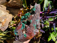 Natural Silky Ball Malachite and Drusy Quartz On Dolomite Matrix Specimen x 1 From Mindingi Mine, Kambove, Congo
