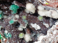 Natural Silky Ball Malachite and Drusy Quartz On Dolomite Matrix Specimen x 1 From Mindingi Mine, Kambove, Congo