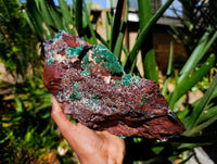 Natural Silky Ball Malachite and Drusy Quartz On Dolomite Matrix Specimen x 1 From Mindingi Mine, Kambove, Congo
