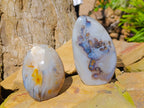 Polished Dendritic Agate Standing Free Forms x 4 From Madagascar - Toprock Gemstones and Minerals 