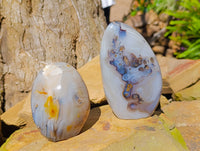 Polished Dendritic Agate Standing Free Forms x 4 From Madagascar