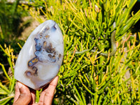 Polished Dendritic Agate Standing Free Forms x 4 From Madagascar