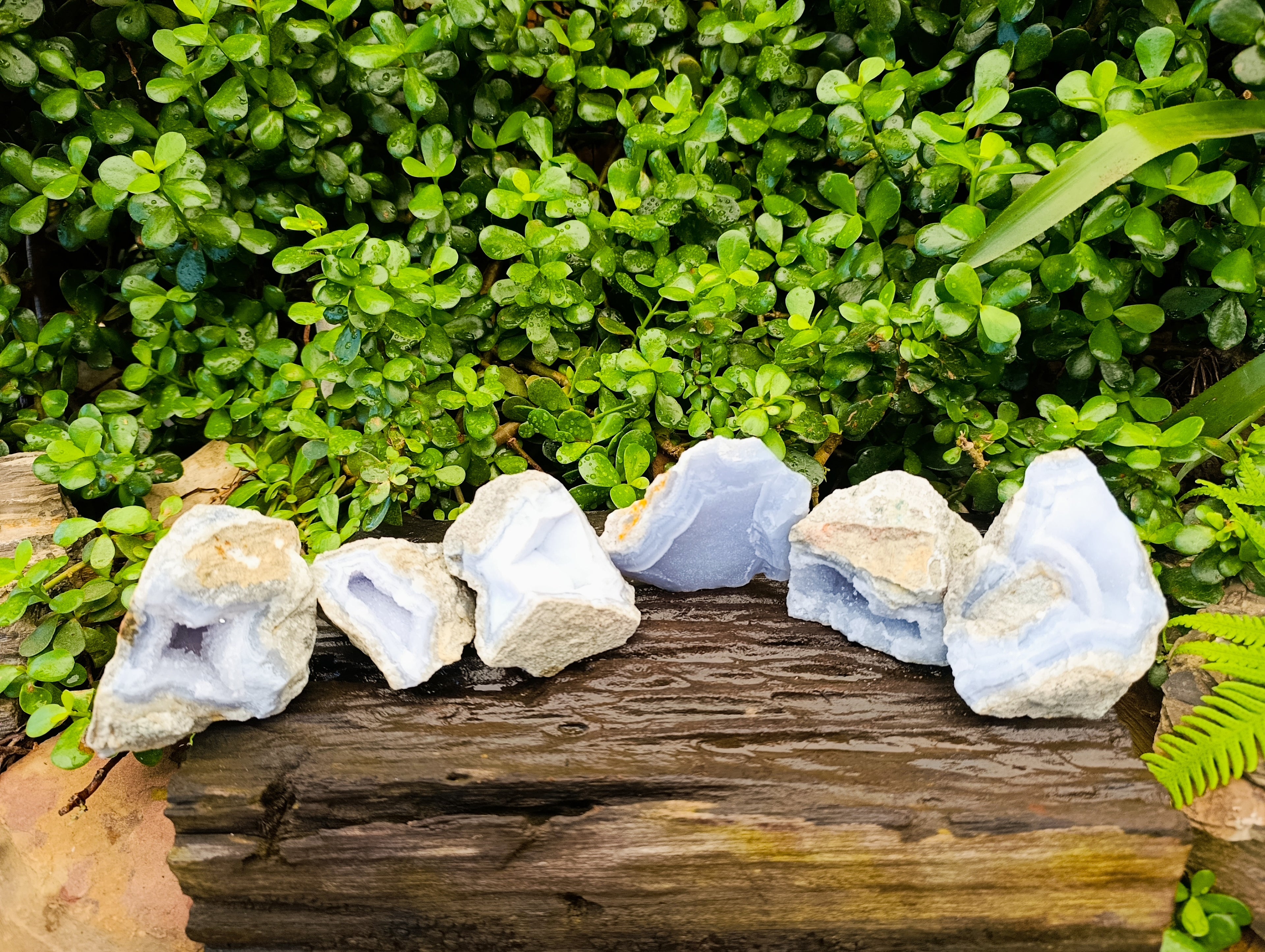 Natural Blue Lace Agate Geode Specimens x 6 From Nsanje, Malawi - Toprock Gemstones and Minerals 