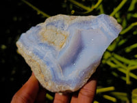 Natural Blue Lace Agate Geode Specimens x 6 From Nsanje, Malawi