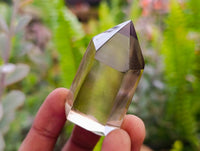 Polished Smokey Wispy Phantom Quartz Crystals x 12 From Anzojorabe, Madagascar