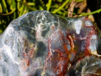 Polished Ocean Jasper Flames x 2 From Madagascar