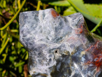Polished Ocean Jasper Flames x 2 From Madagascar