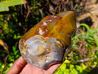 Polished Ocean Jasper Flames x 2 From Madagascar