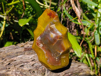 Polished Ocean Jasper Flames x 2 From Madagascar