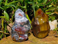 Polished Ocean Jasper Flames x 2 From Madagascar