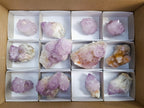 Natural Sunburst Spirit Amethyst Cactus Flower Quartz Clusters And Crystals x 12 From Boekenhouthoek, South Africa - Toprock Gemstones and Minerals 