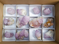 Natural Sunburst Spirit Amethyst Cactus Flower Quartz Clusters And Crystals x 12 From Boekenhouthoek, South Africa