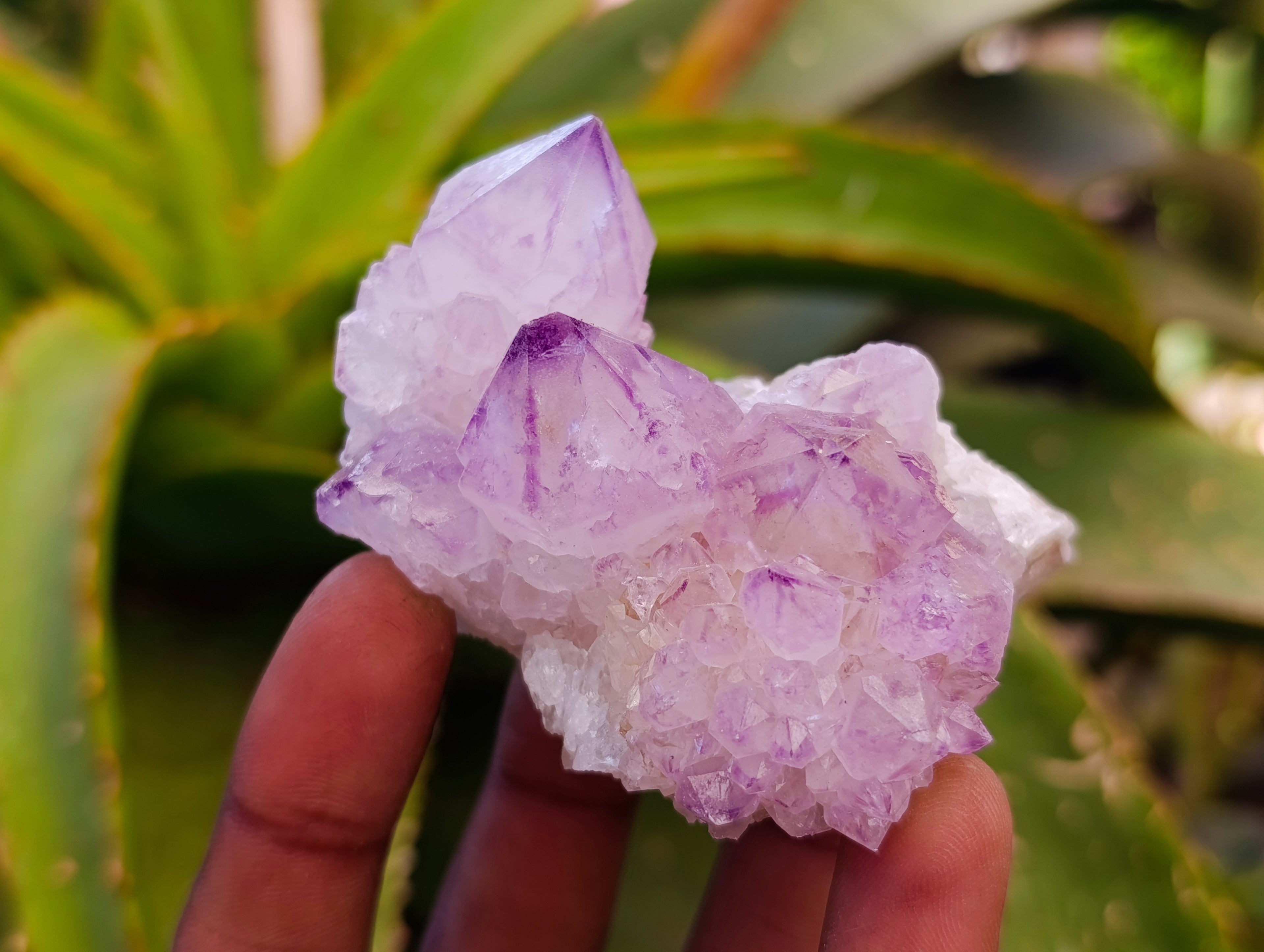 Natural Sunburst Spirit Amethyst Cactus Flower Quartz Clusters And Crystals x 12 From Boekenhouthoek, South Africa - Toprock Gemstones and Minerals 