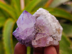 Natural Sunburst Spirit Amethyst Cactus Flower Quartz Clusters And Crystals x 12 From Boekenhouthoek, South Africa - Toprock Gemstones and Minerals 