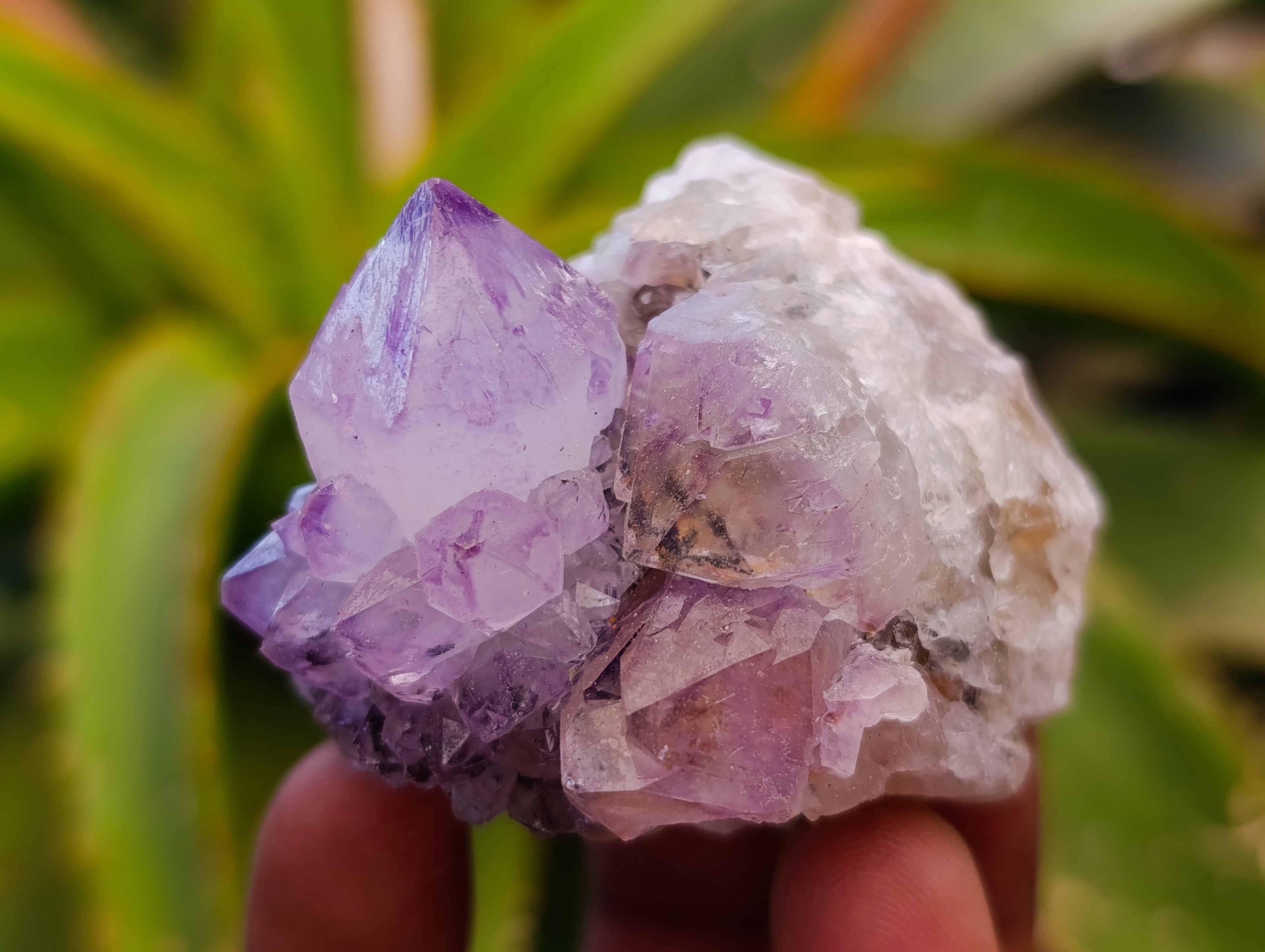 Natural Sunburst Spirit Amethyst Cactus Flower Quartz Clusters And Crystals x 12 From Boekenhouthoek, South Africa - Toprock Gemstones and Minerals 