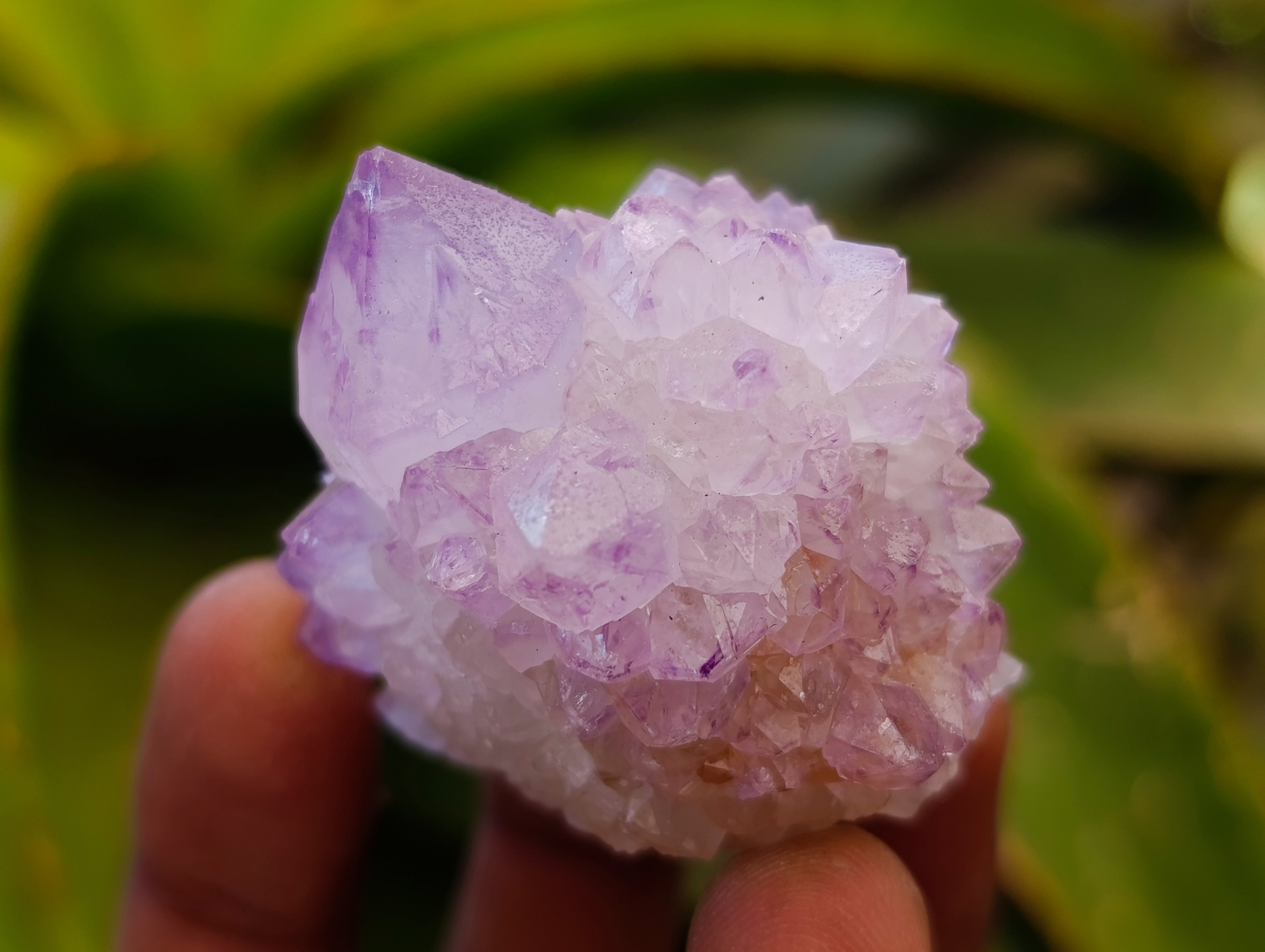 Natural Sunburst Spirit Amethyst Cactus Flower Quartz Clusters And Crystals x 12 From Boekenhouthoek, South Africa - Toprock Gemstones and Minerals 