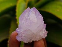 Natural Sunburst Spirit Amethyst Cactus Flower Quartz Clusters And Crystals x 12 From Boekenhouthoek, South Africa