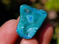 Polished Dioptase Free Forms x 26 From Likasi, Congo