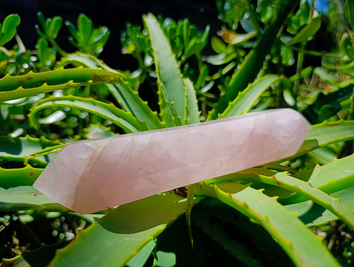 Polished Double Terminated Rose Quartz Crystals x 6 From Madagascar - Toprock Gemstones and Minerals 