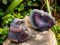 Polished On One Side Red Sashe River Agate Nodules x 6 From Sashe River, Zimbabwe
