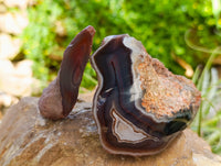 Polished On One Side Red Sashe River Agate Nodules x 6 From Sashe River, Zimbabwe