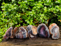 Polished On One Side Red Sashe River Agate Nodules x 6 From Sashe River, Zimbabwe