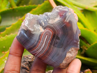 Polished On One Side Red Sashe River Agate Nodules x 6 From Sashe River, Zimbabwe