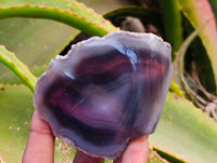 Polished On One Side Red Sashe River Agate Nodules x 6 From Sashe River, Zimbabwe