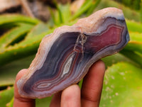 Polished On One Side Red Sashe River Agate Nodules x 6 From Sashe River, Zimbabwe