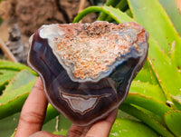 Polished On One Side Red Sashe River Agate Nodules x 6 From Sashe River, Zimbabwe