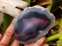 Polished On One Side Red Sashe River Agate Nodules x 6 From Sashe River, Zimbabwe