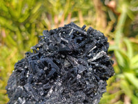 Natural Schorl Black Tourmaline Specimens x 3 From Erongo, Namibia
