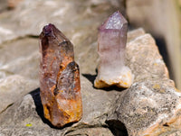 Natural Window Amethyst Crystals x 70 From Chiredzi, Zimbabwe