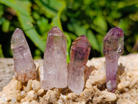 Natural Window Amethyst Crystals x 70 From Chiredzi, Zimbabwe