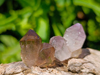 Natural Window Amethyst Crystals x 70 From Chiredzi, Zimbabwe