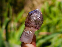 Natural Window Amethyst Crystals x 70 From Chiredzi, Zimbabwe