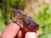 Natural Window Amethyst Crystals x 70 From Chiredzi, Zimbabwe