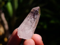 Natural Window Amethyst Crystals x 70 From Chiredzi, Zimbabwe