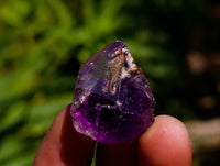 Natural Window Amethyst Crystals x 70 From Chiredzi, Zimbabwe