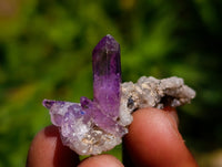 Natural Window Amethyst Crystals x 70 From Chiredzi, Zimbabwe